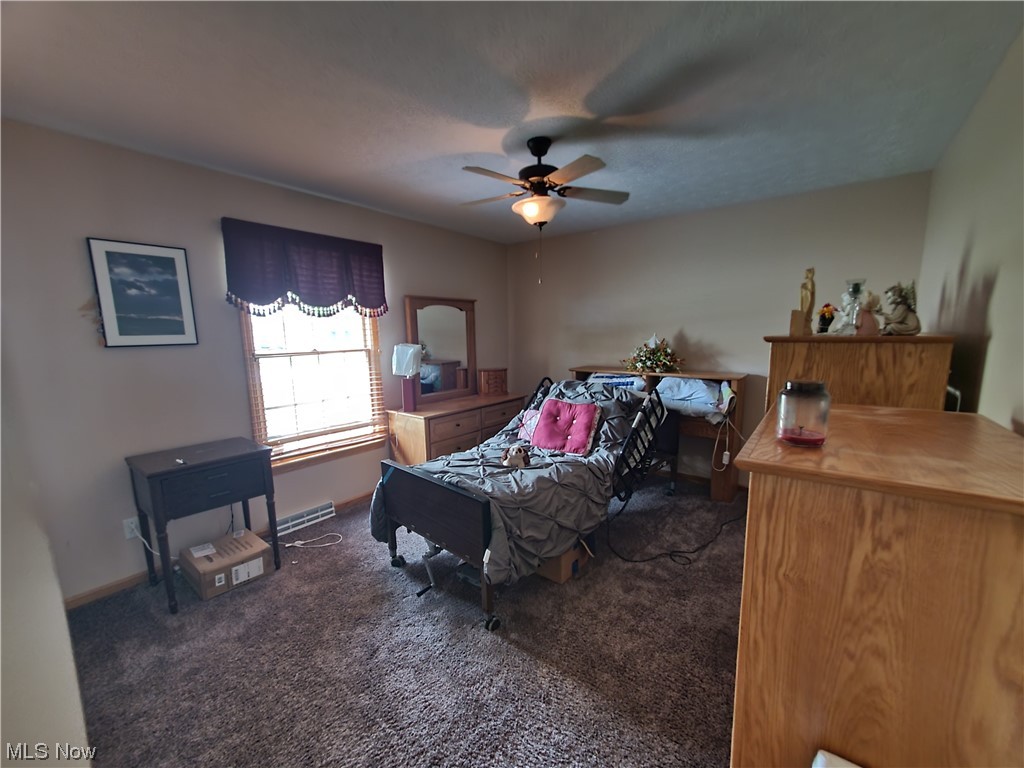 4428 Stafford Drive