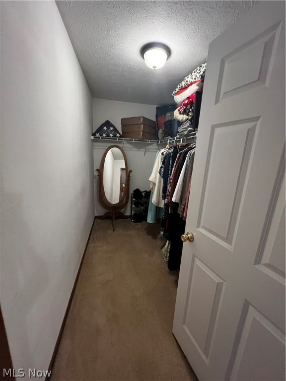 2127 Flame Lake Drive
