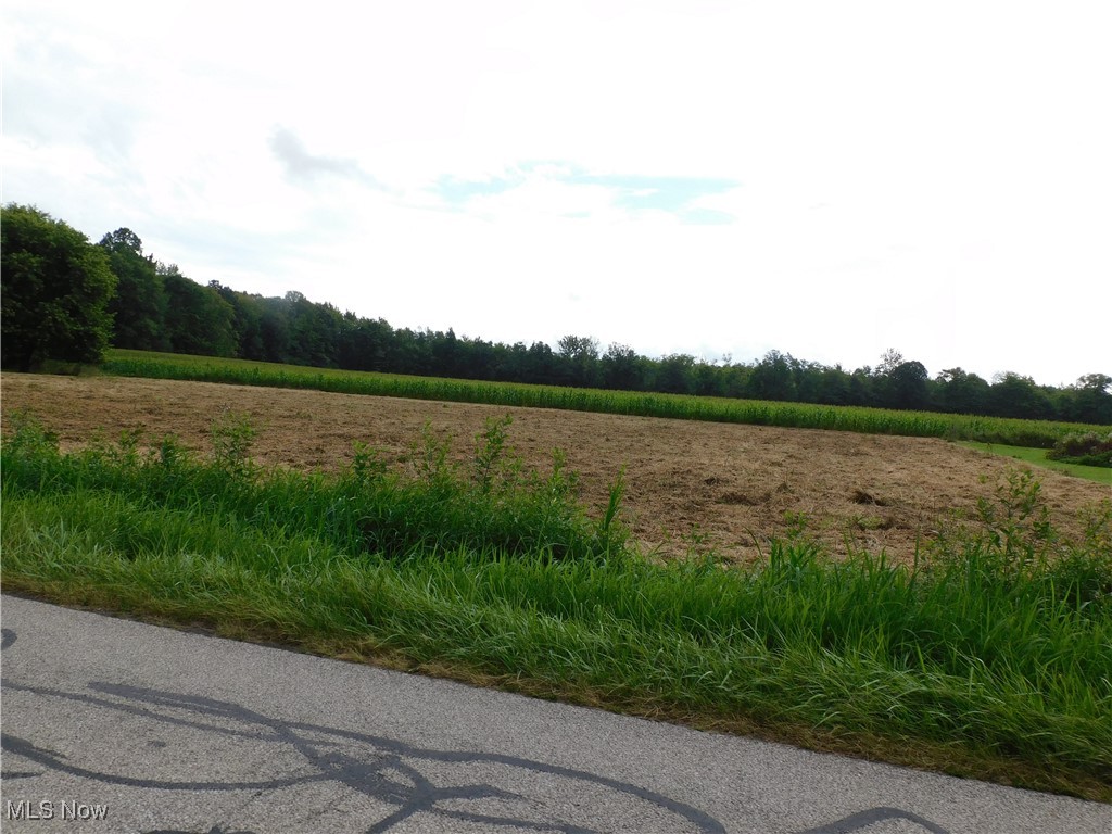 reed Road