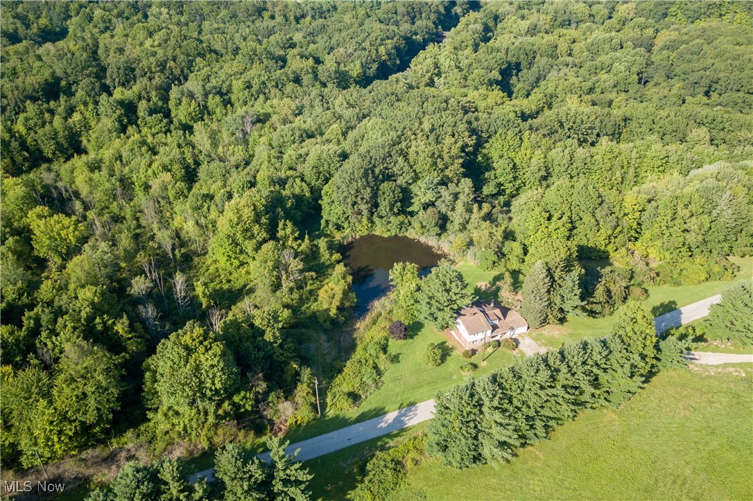 4491 Fox Road
