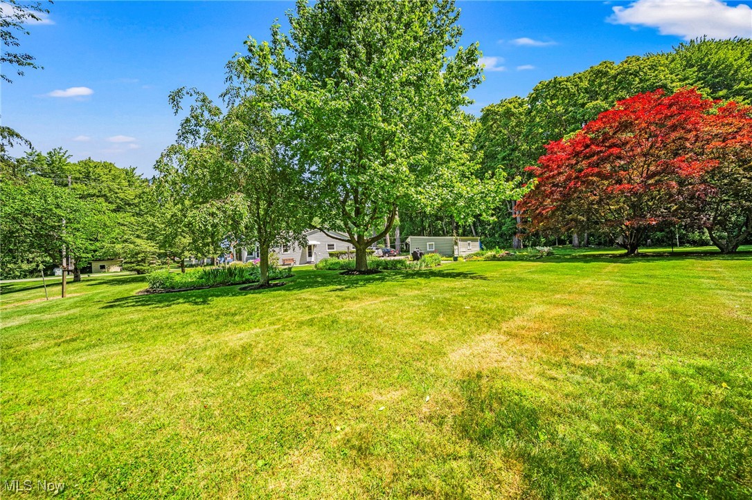 3988 Lake Road