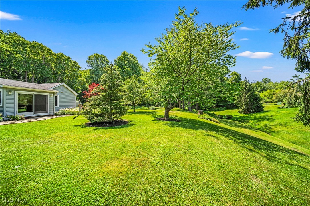 3988 Lake Road