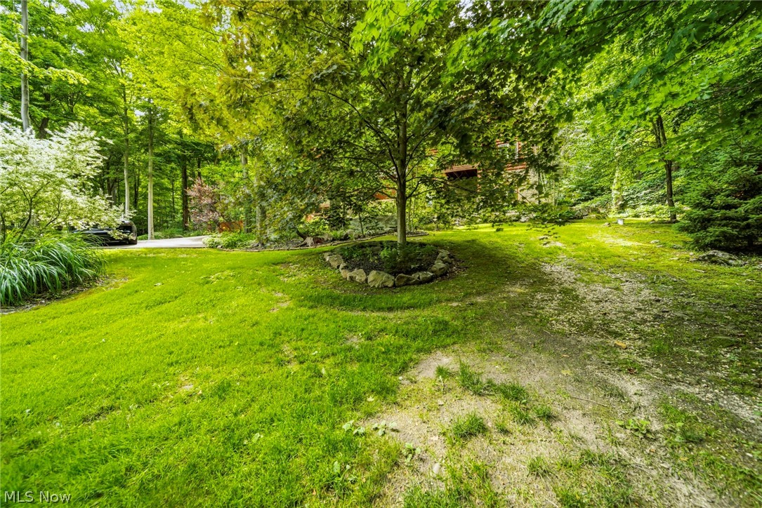 10506 Mayfield Road