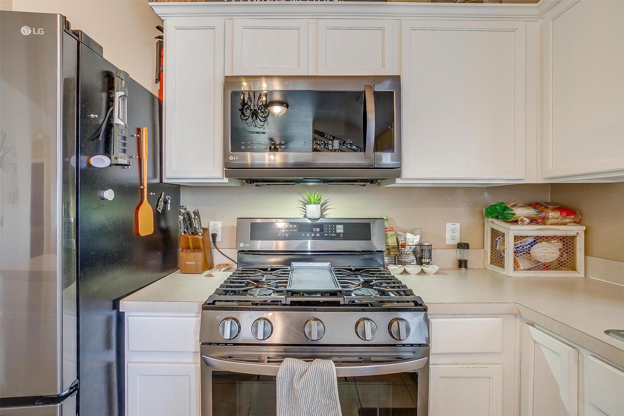 1801 Crested Butte Drive