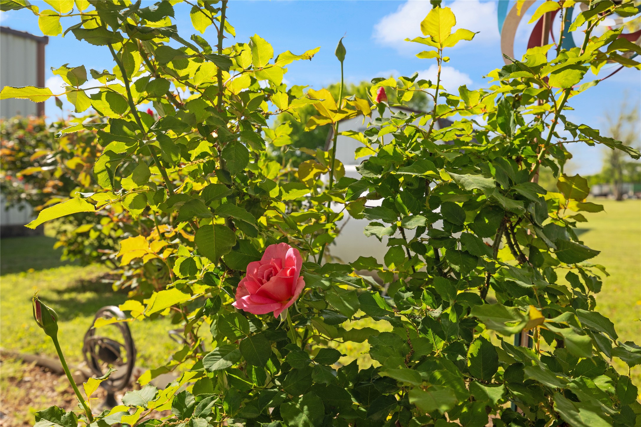 22921 Indian Trail Drive