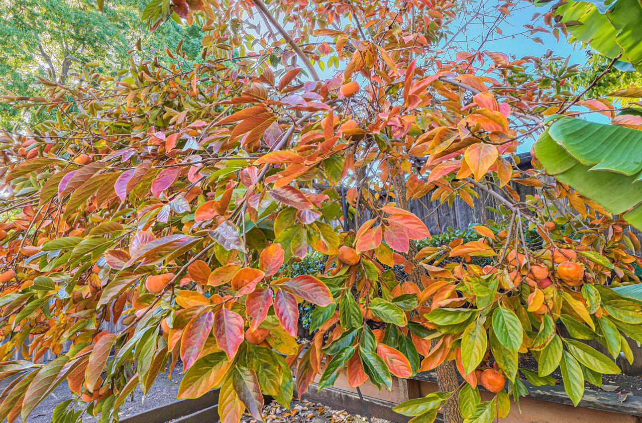 385 Spring Hill Drive