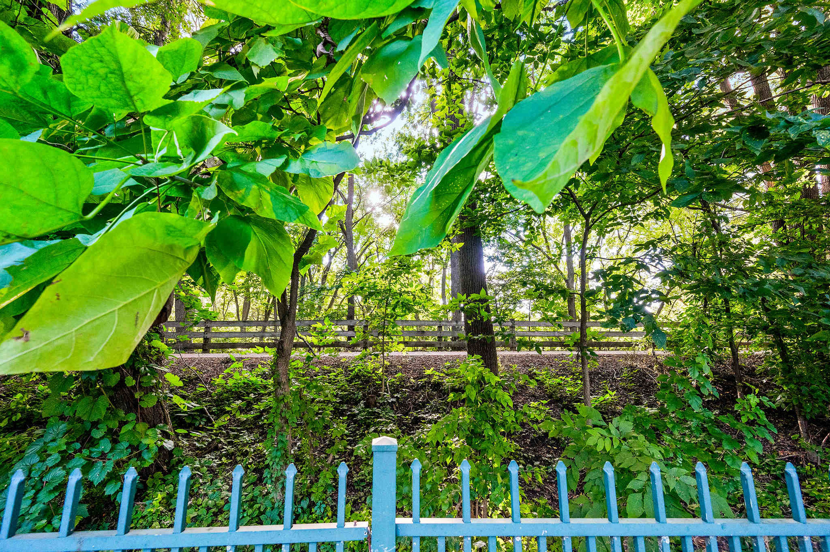 903 N Linden Street Unit: 144