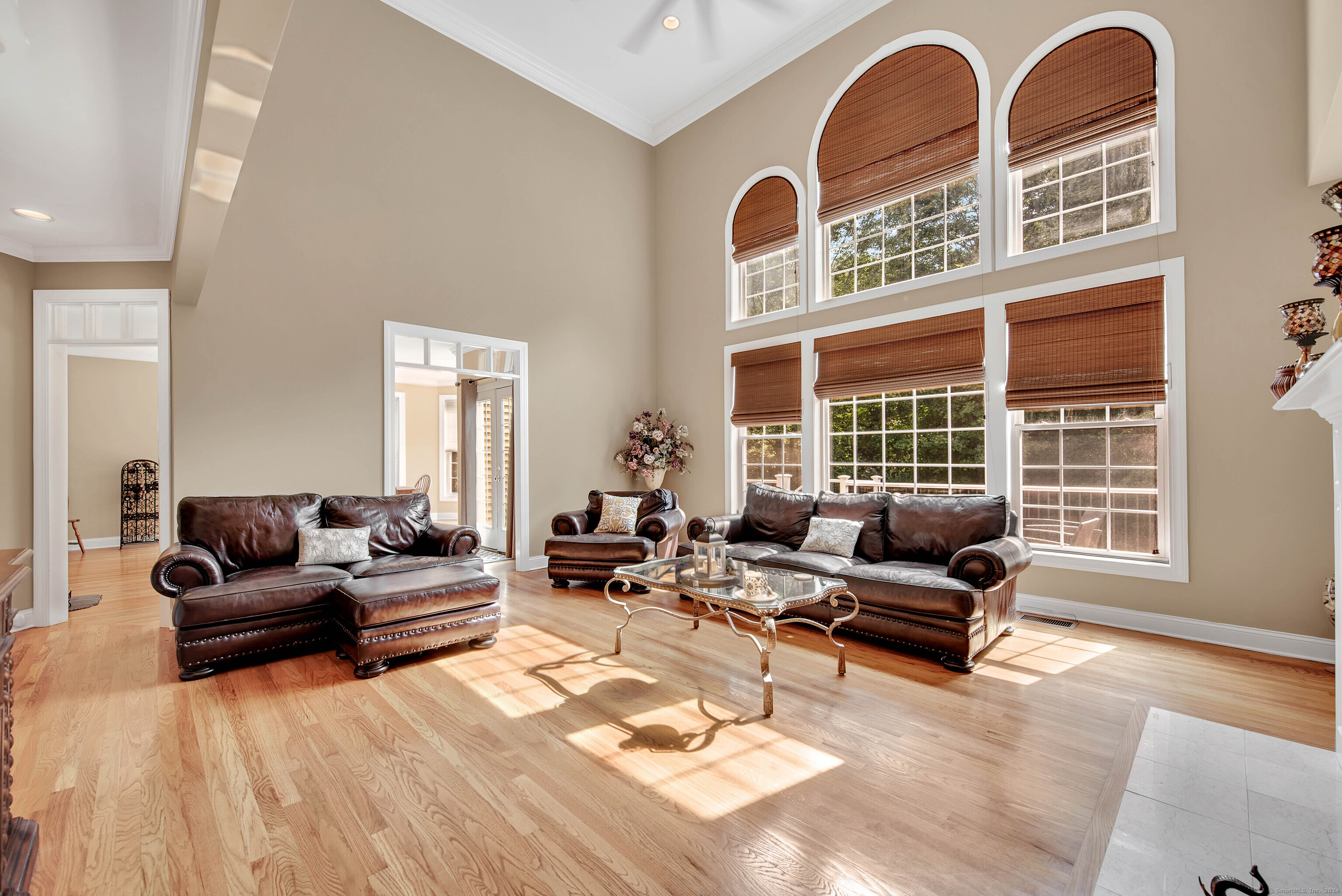 447 Transylvania Road
