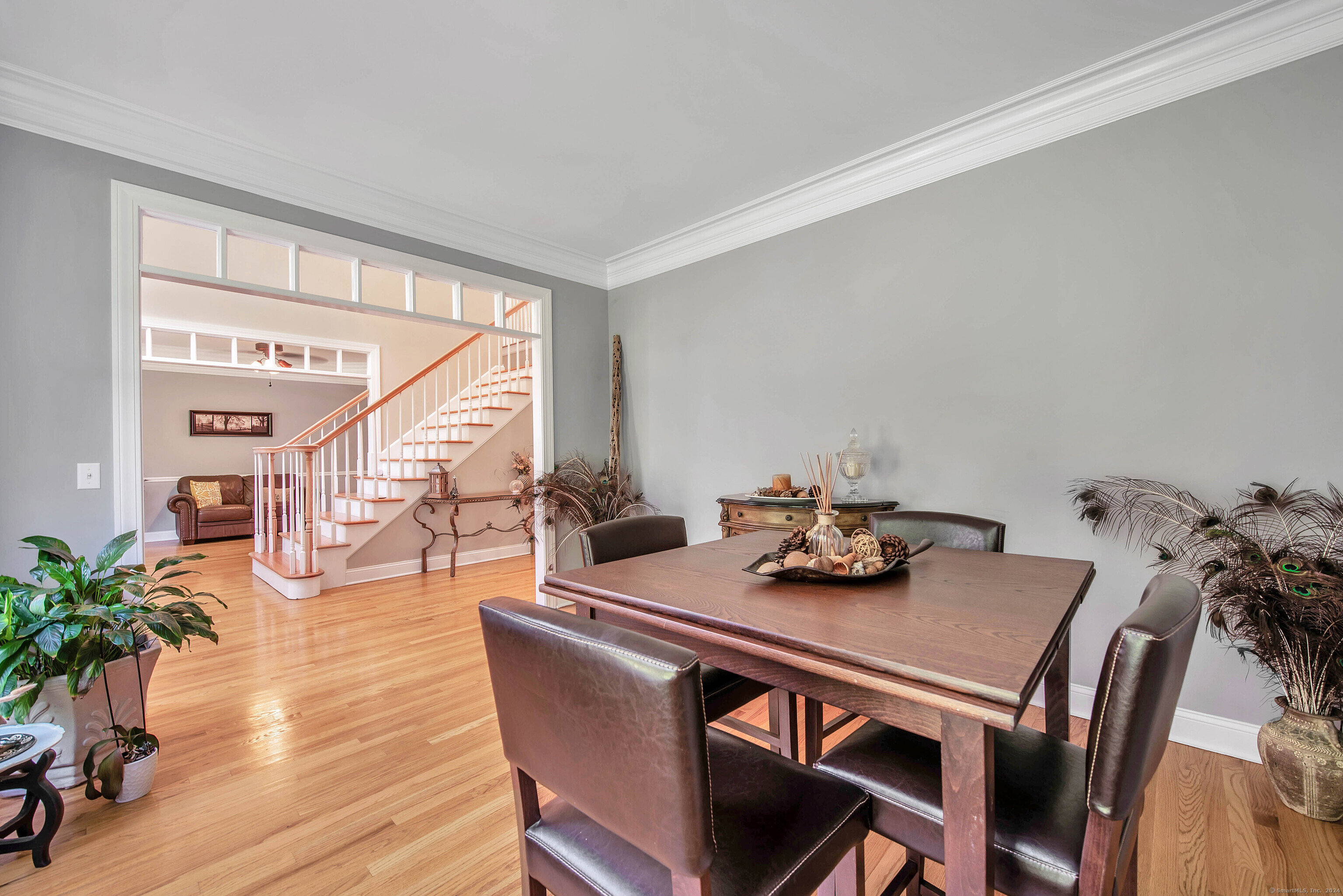 447 Transylvania Road