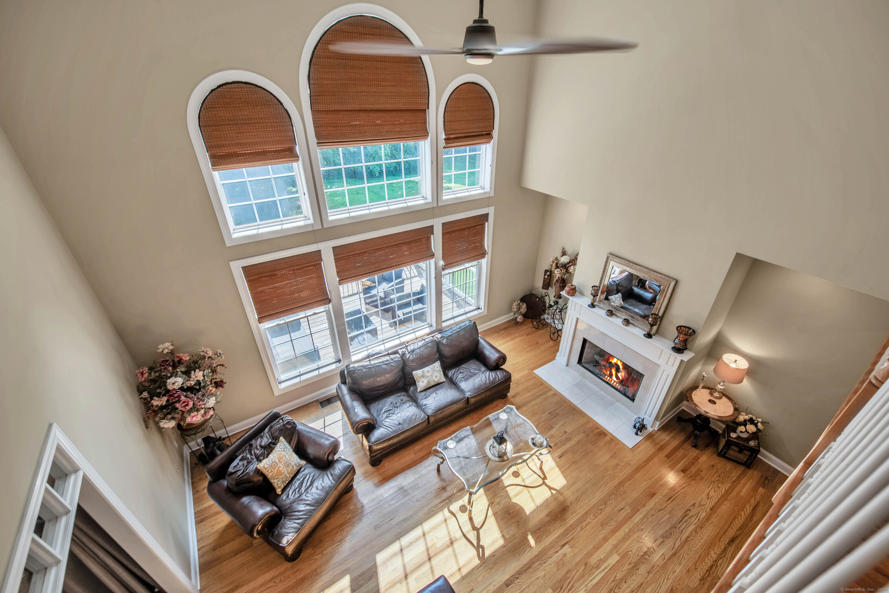 447 Transylvania Road