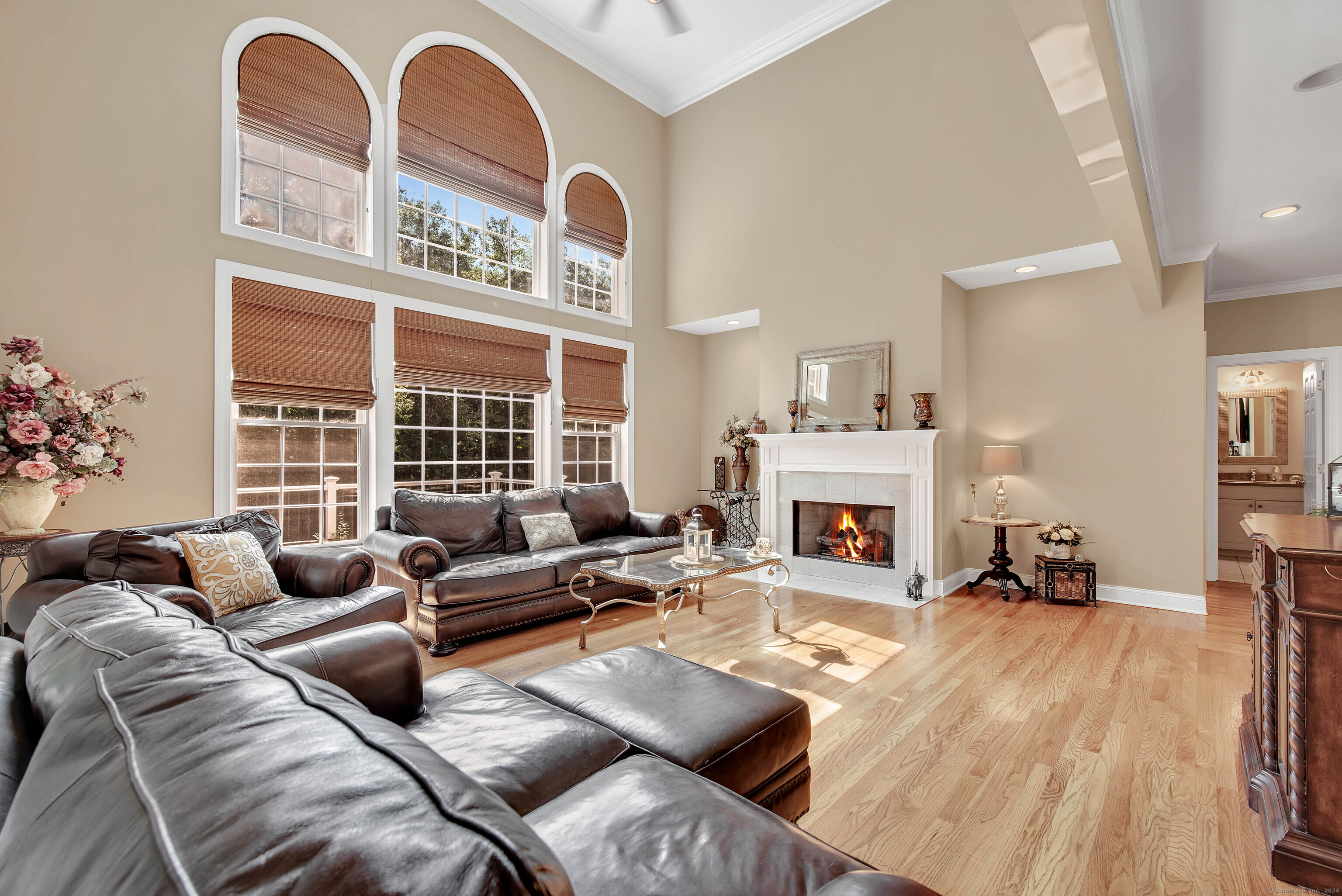 447 Transylvania Road
