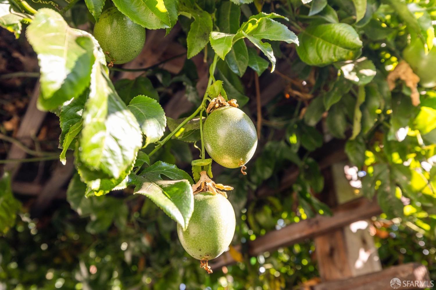 5714 Broadway Boulevard