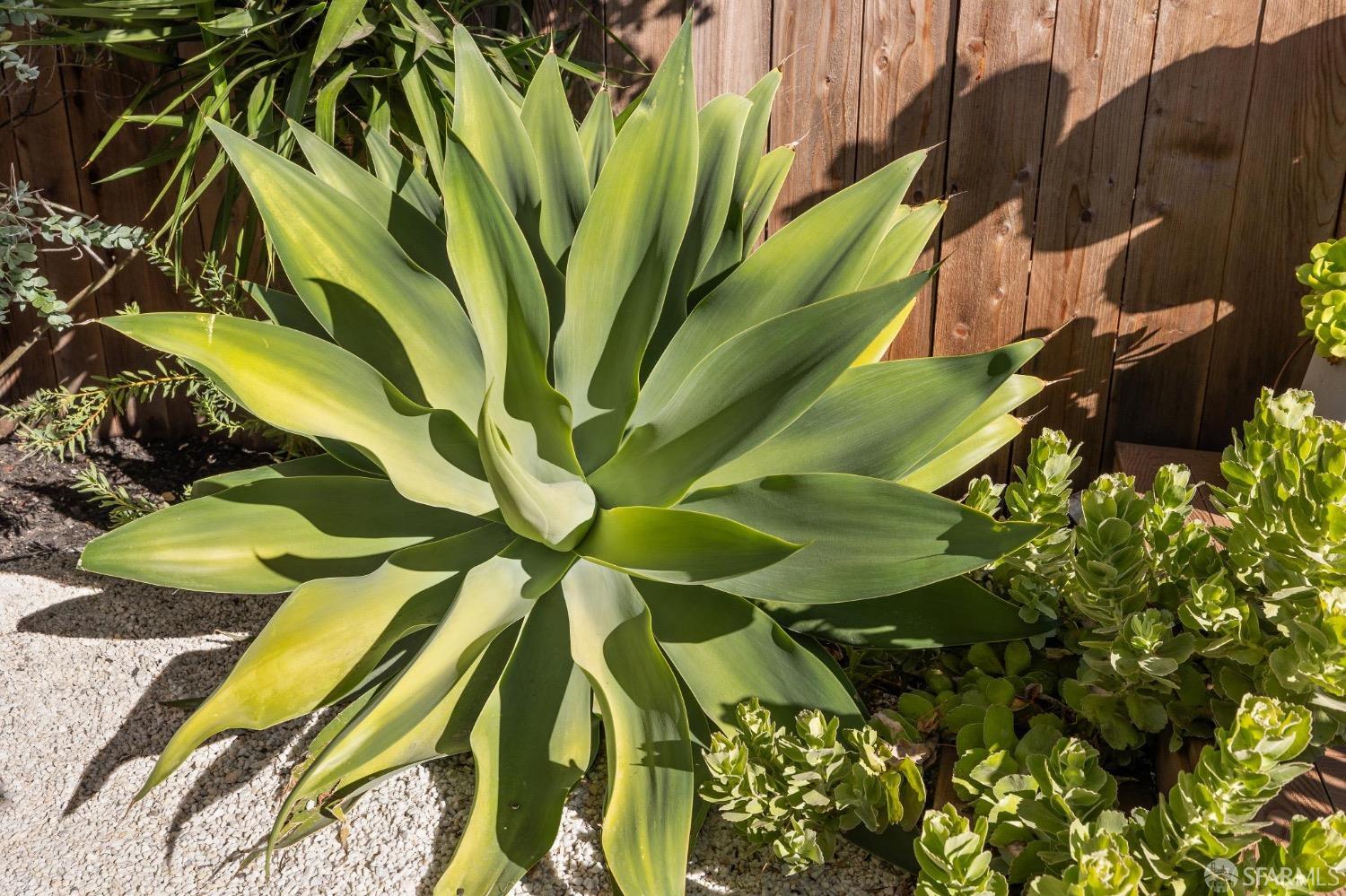 5714 Broadway Boulevard