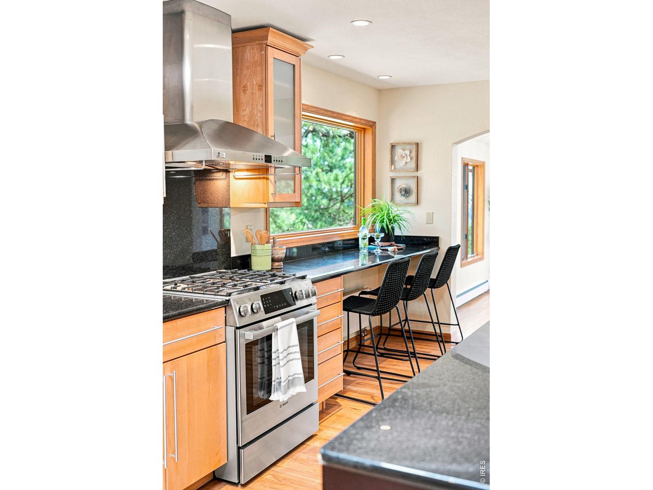 335 Pine Tree Ln