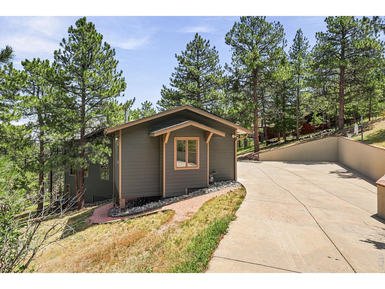 335 Pine Tree Ln
