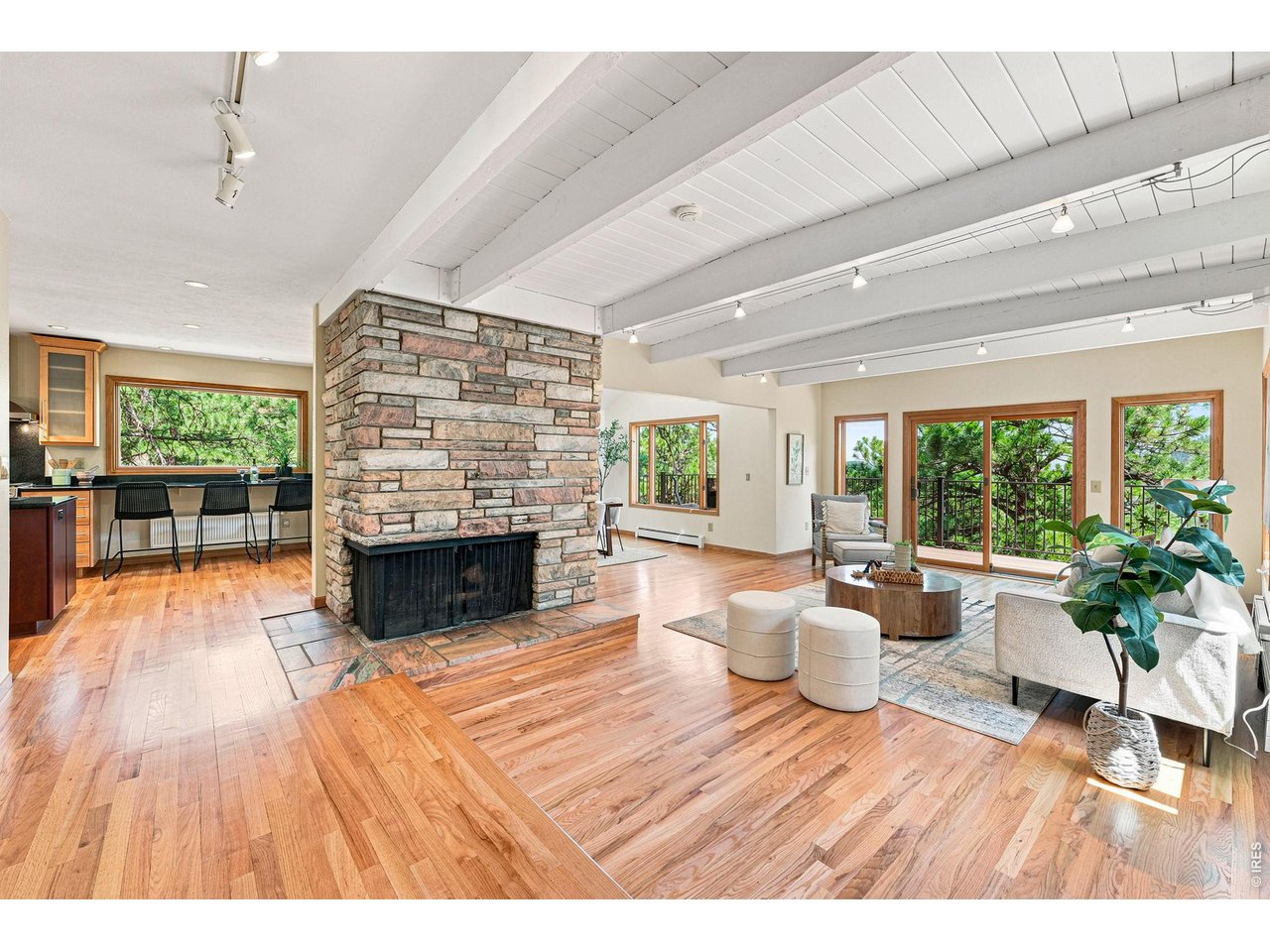 335 Pine Tree Ln