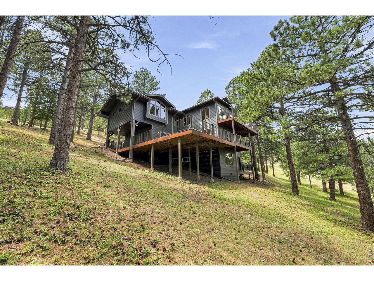 335 Pine Tree Ln