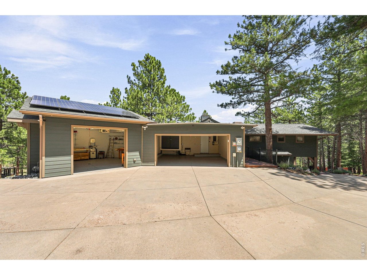 335 Pine Tree Ln