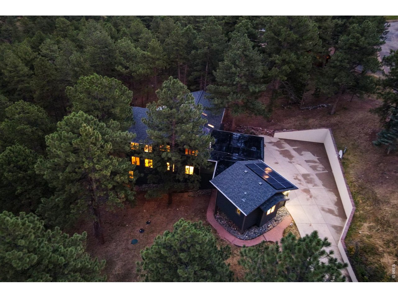 335 Pine Tree Ln