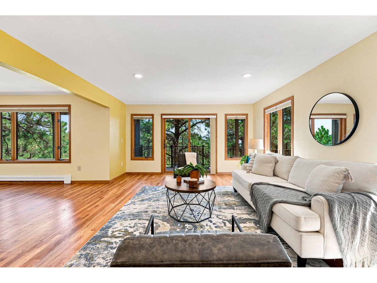 335 Pine Tree Ln