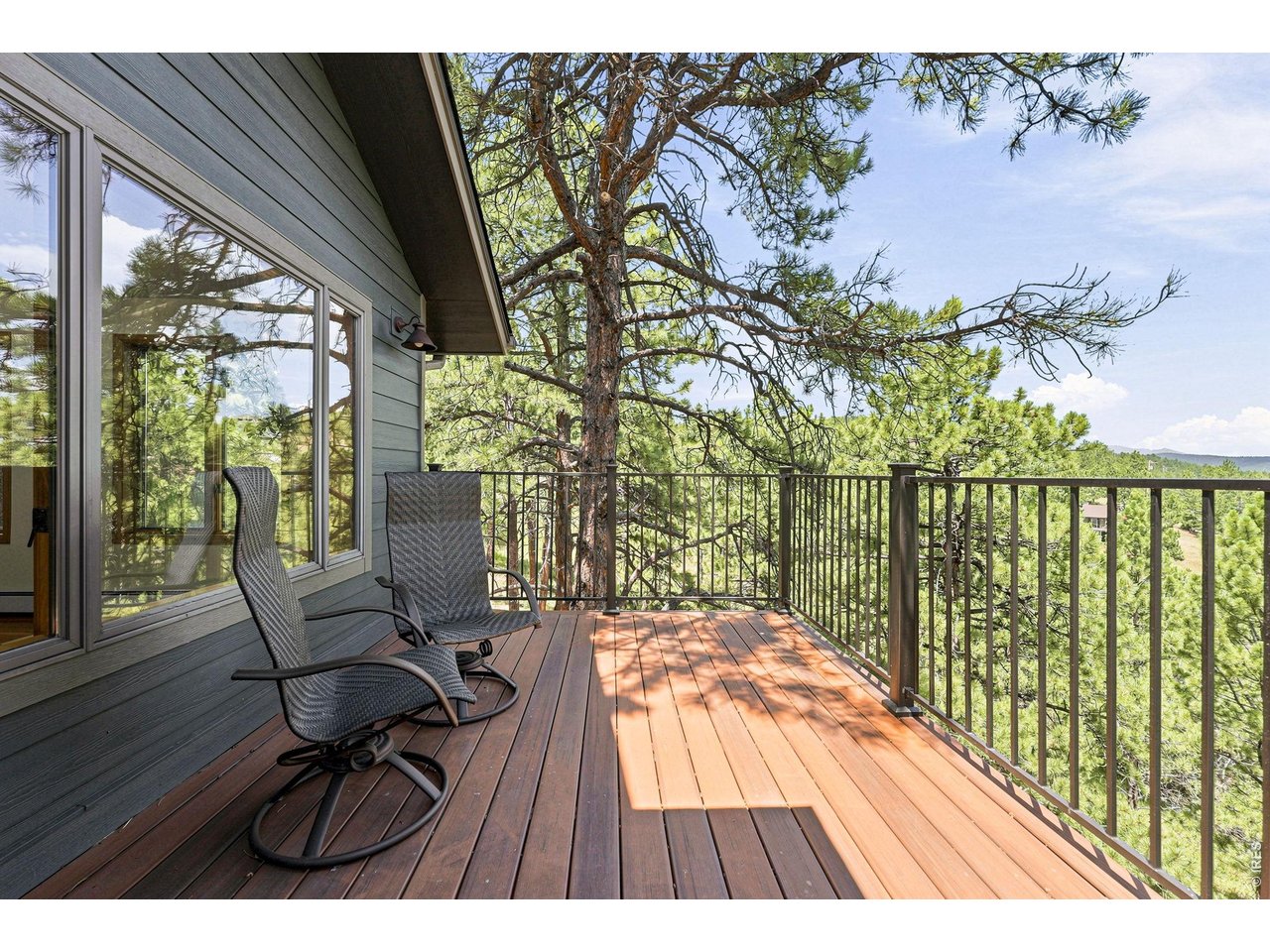 335 Pine Tree Ln