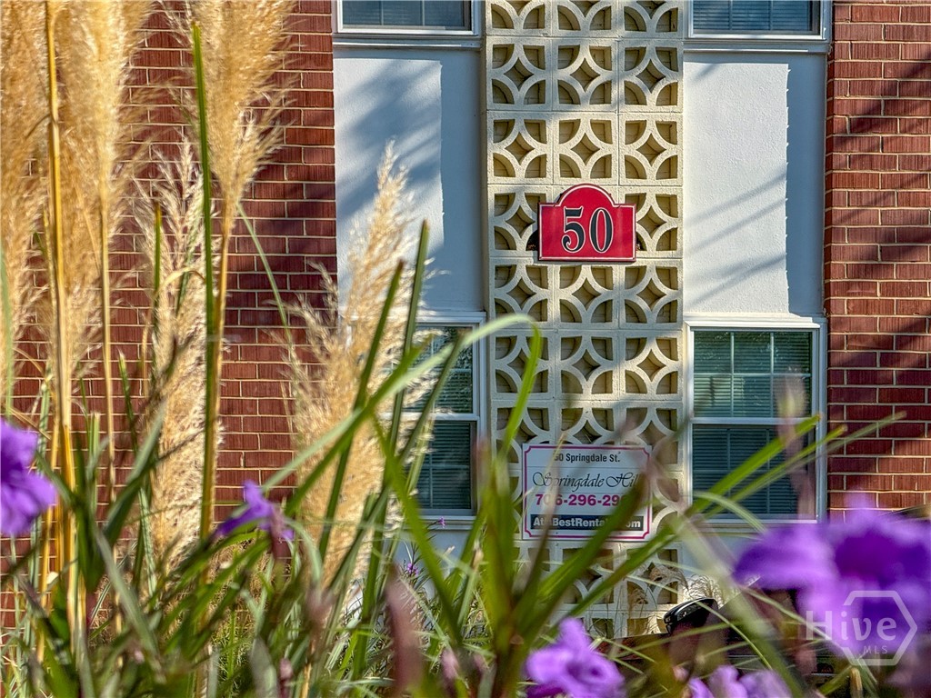 50 Springdale Street
