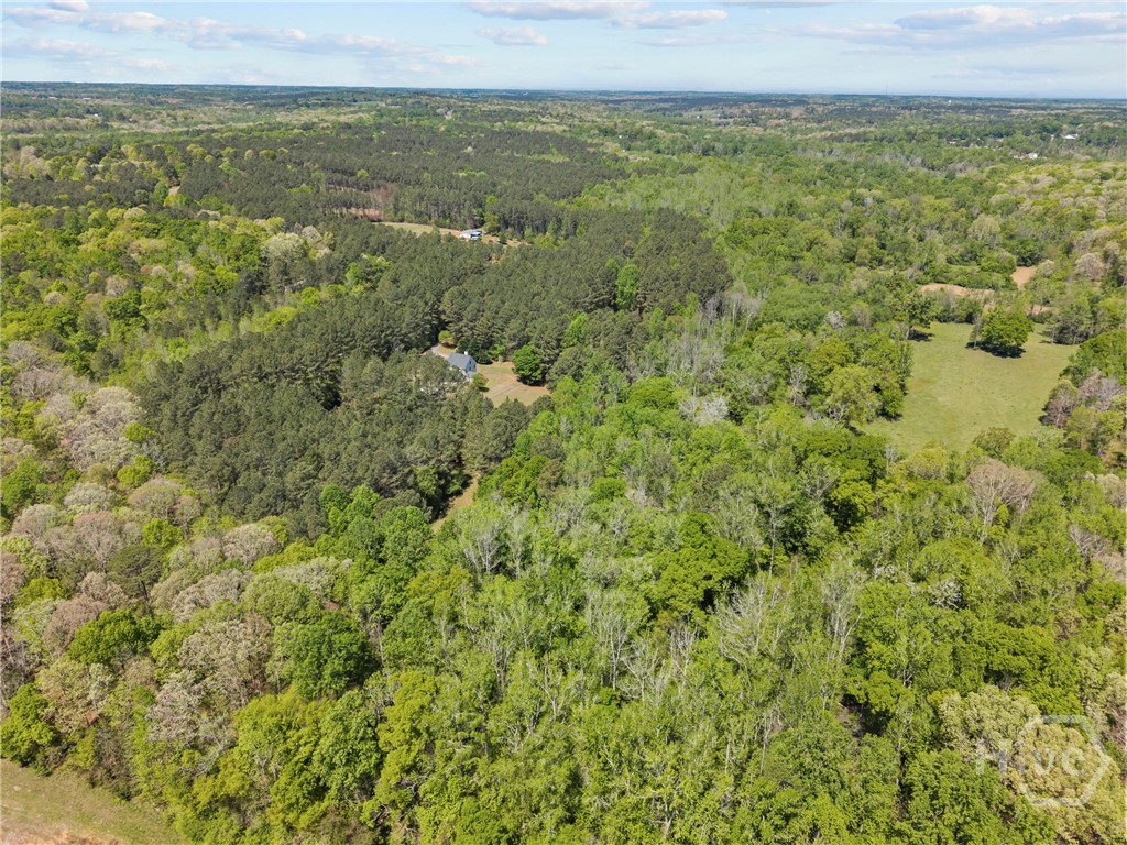 599 Double Branch Road