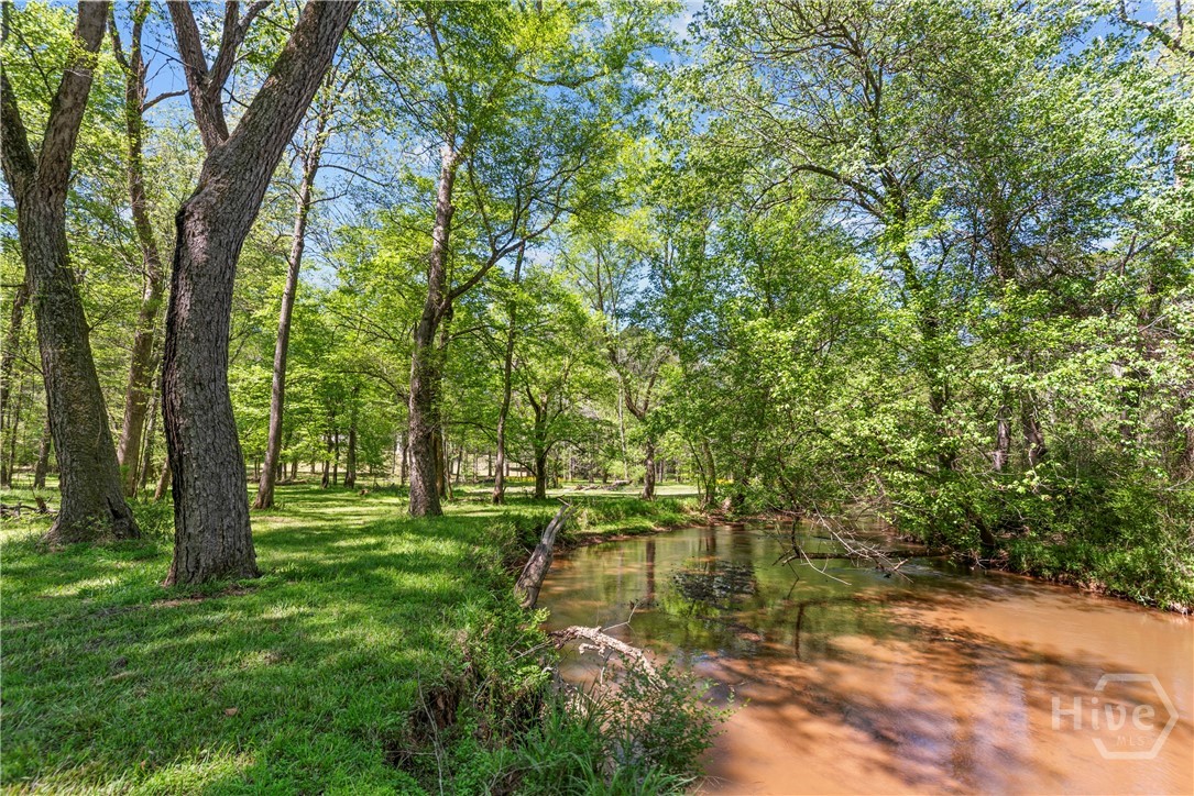 599 Double Branch Road