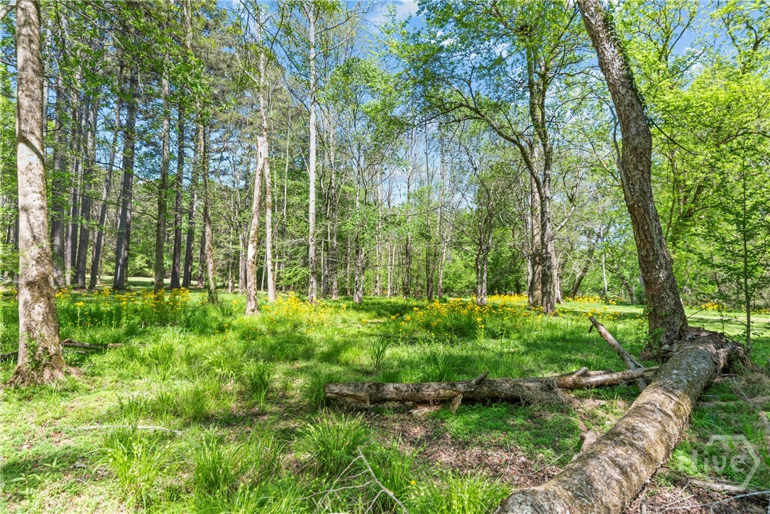 599 Double Branch Road