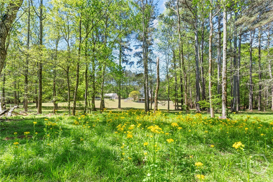 599 Double Branch Road