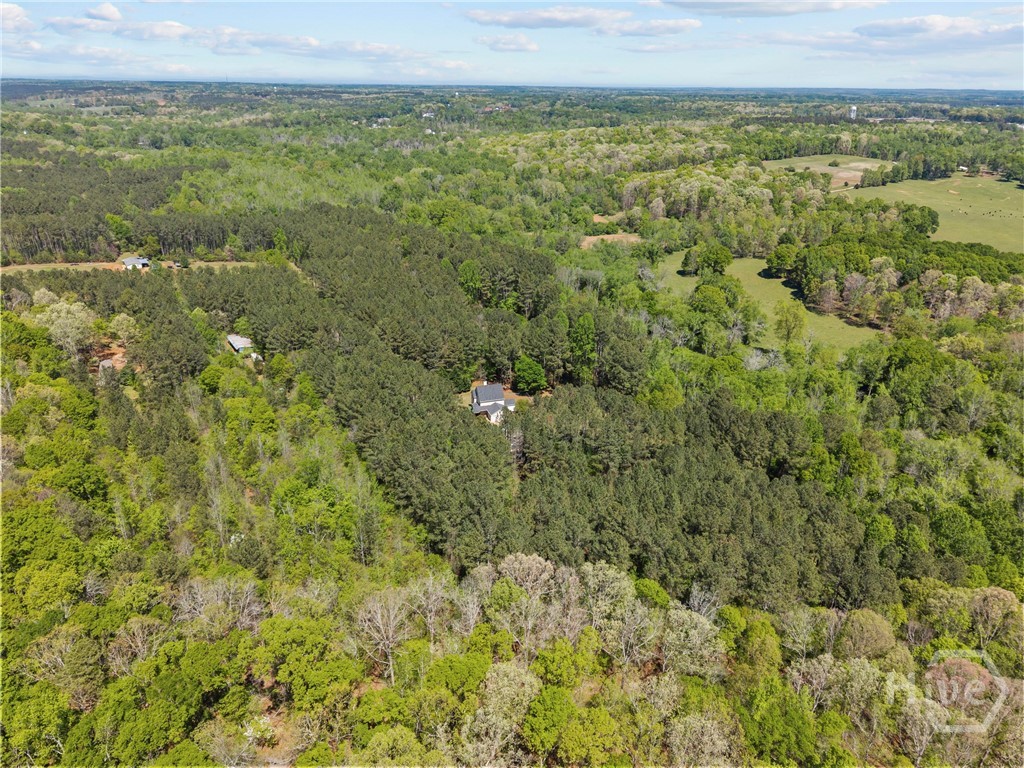 599 Double Branch Road