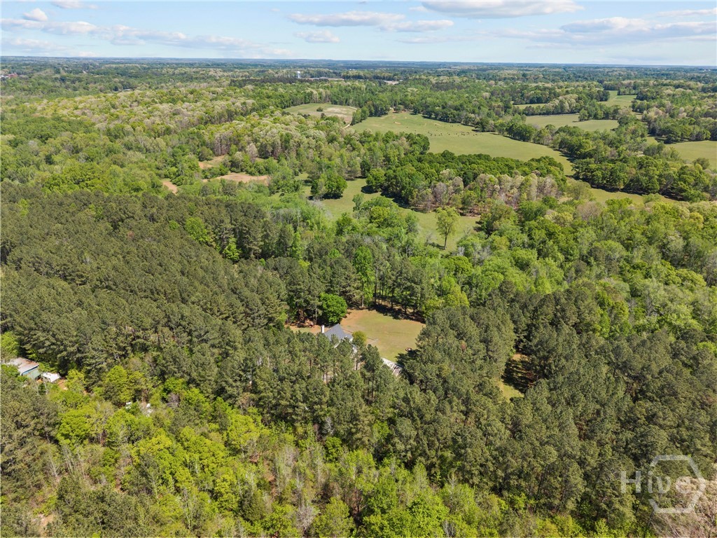 599 Double Branch Road