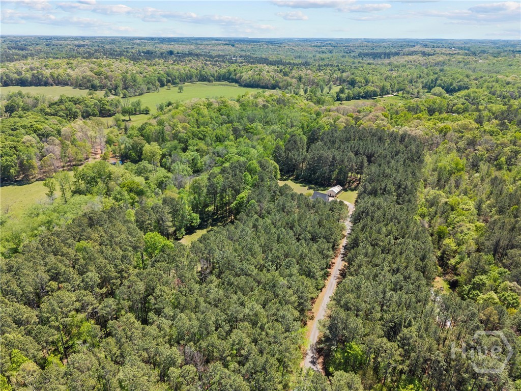 599 Double Branch Road
