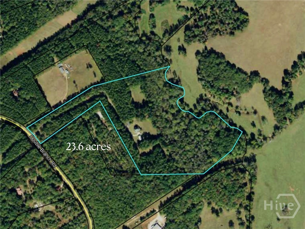 599 Double Branch Road