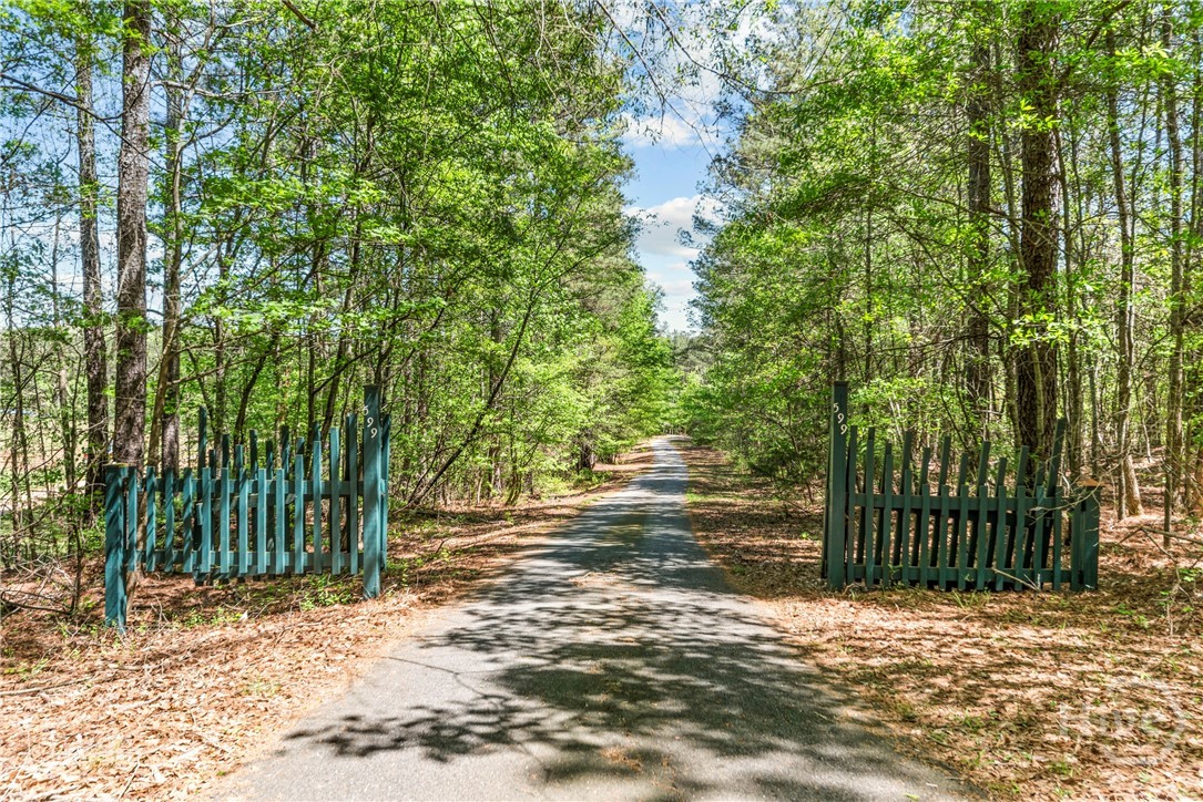 599 Double Branch Road