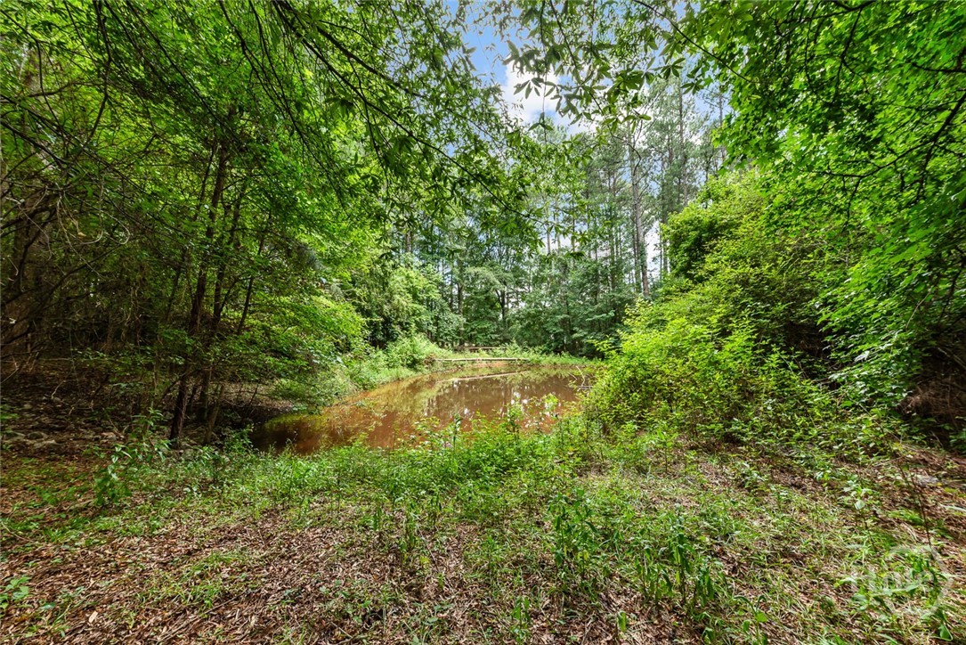 17 Pineforest Drive