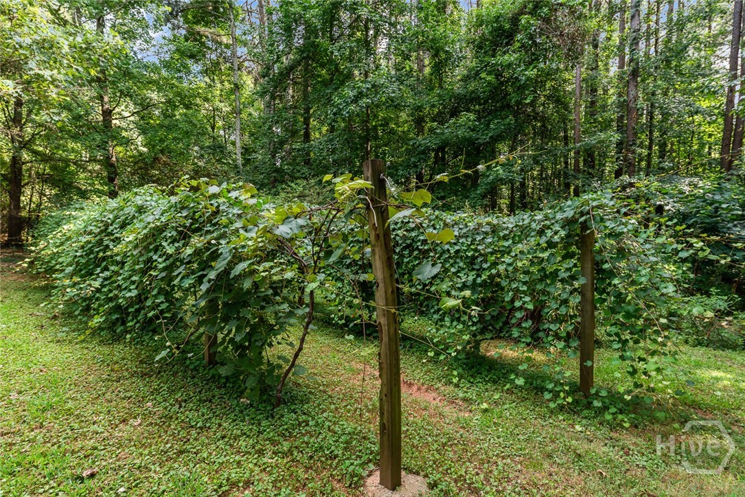 17 Pineforest Drive