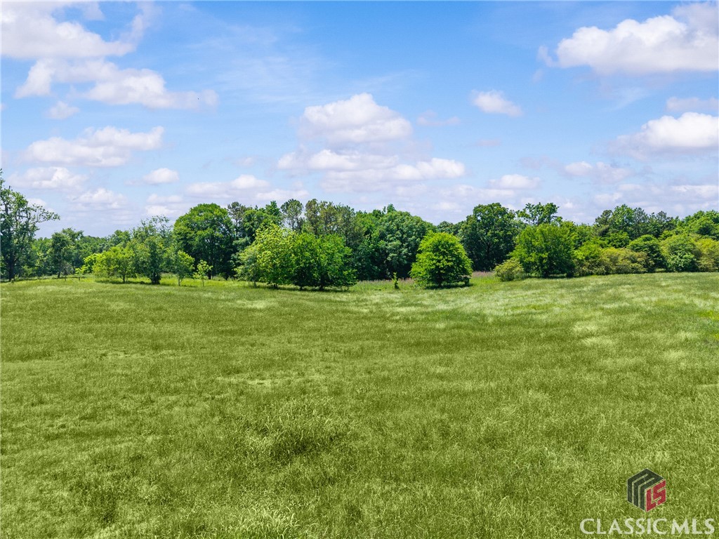 3081 Macedonia Road