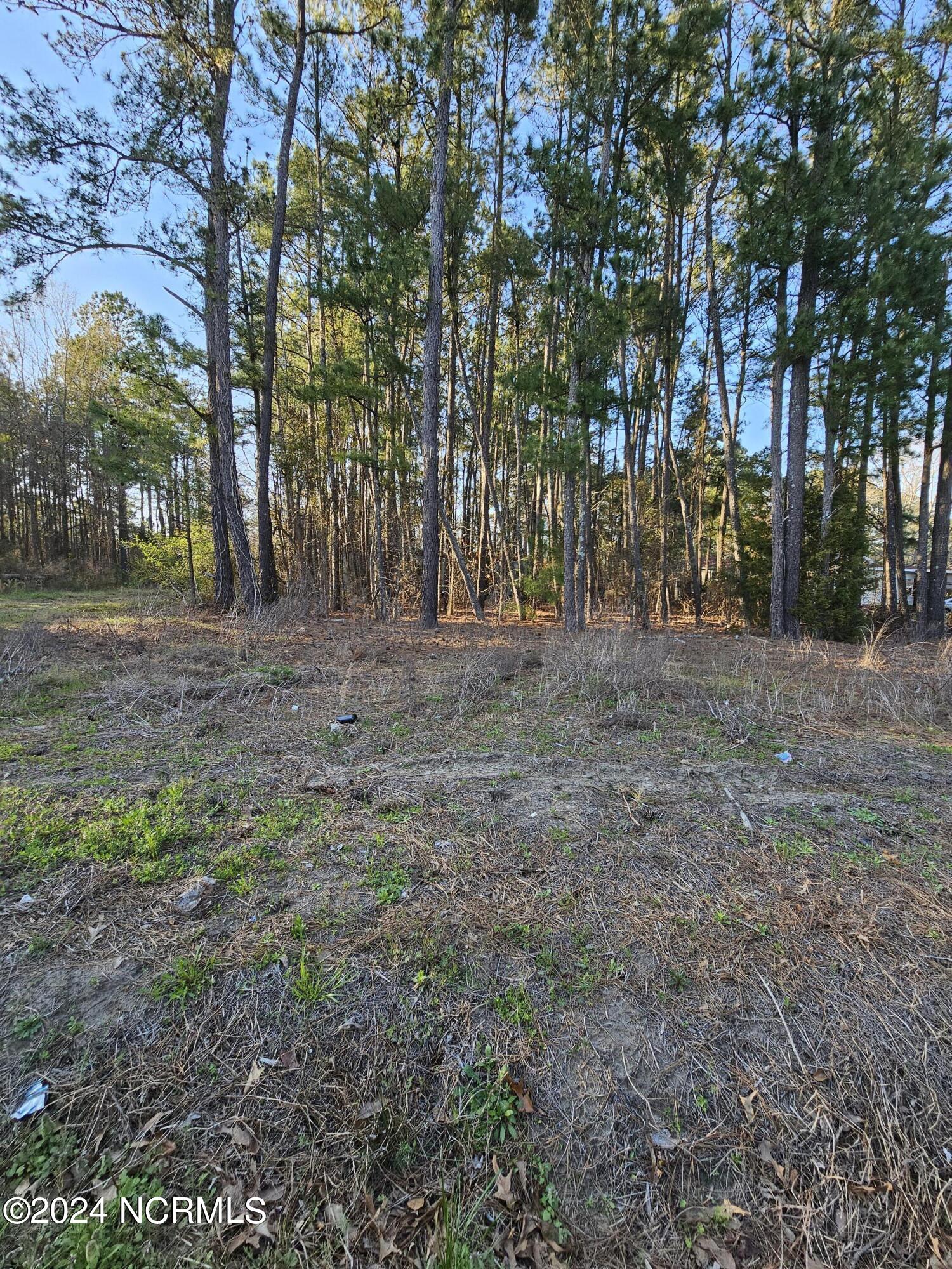 637 Sandy Ridge Road