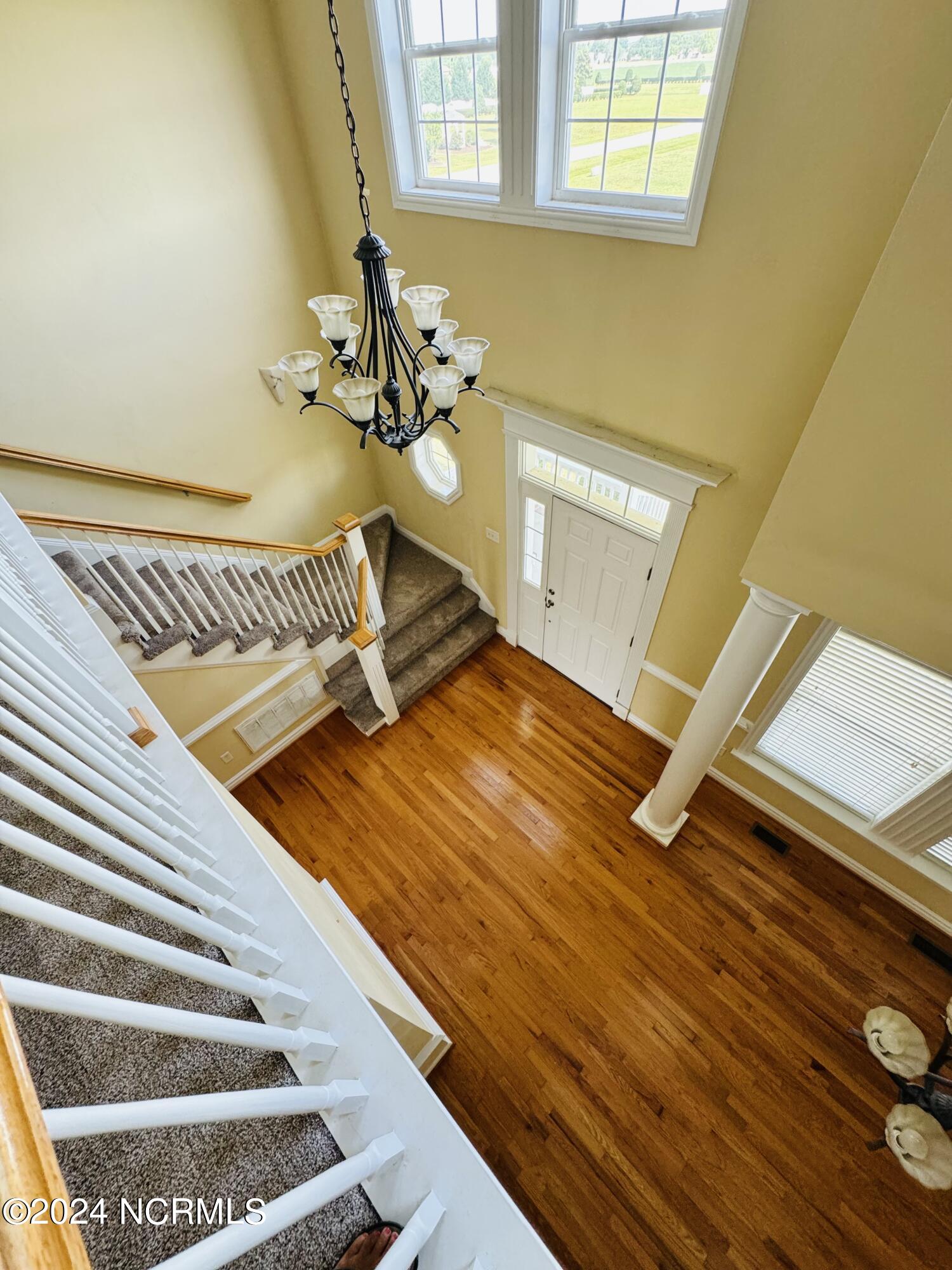 115 Tulip Tree Drive