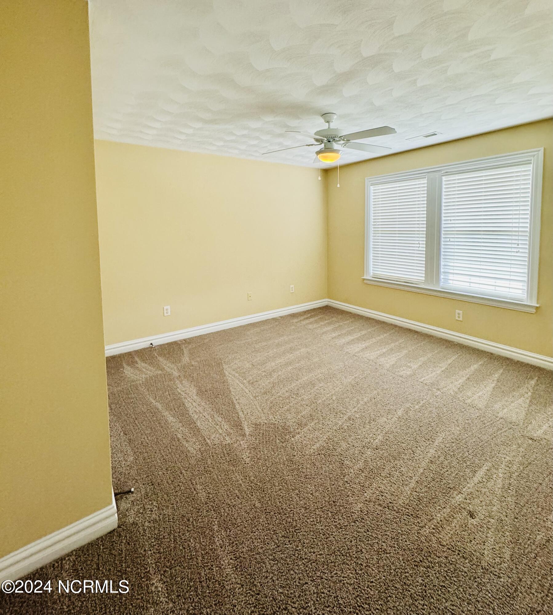 115 Tulip Tree Drive