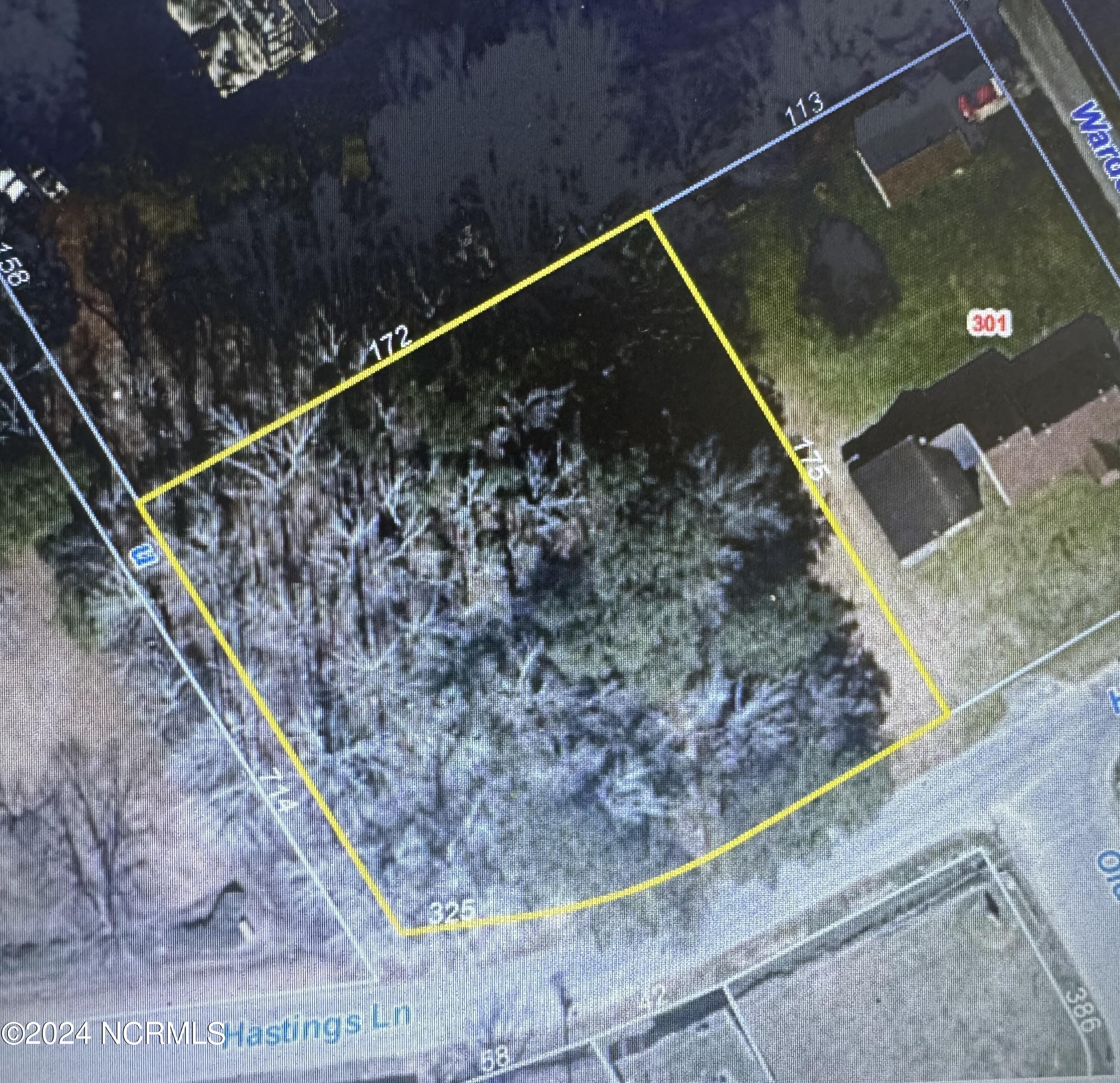 Aerial view of a wooded vacant lot outlined in yellow beside Hastings Lane.