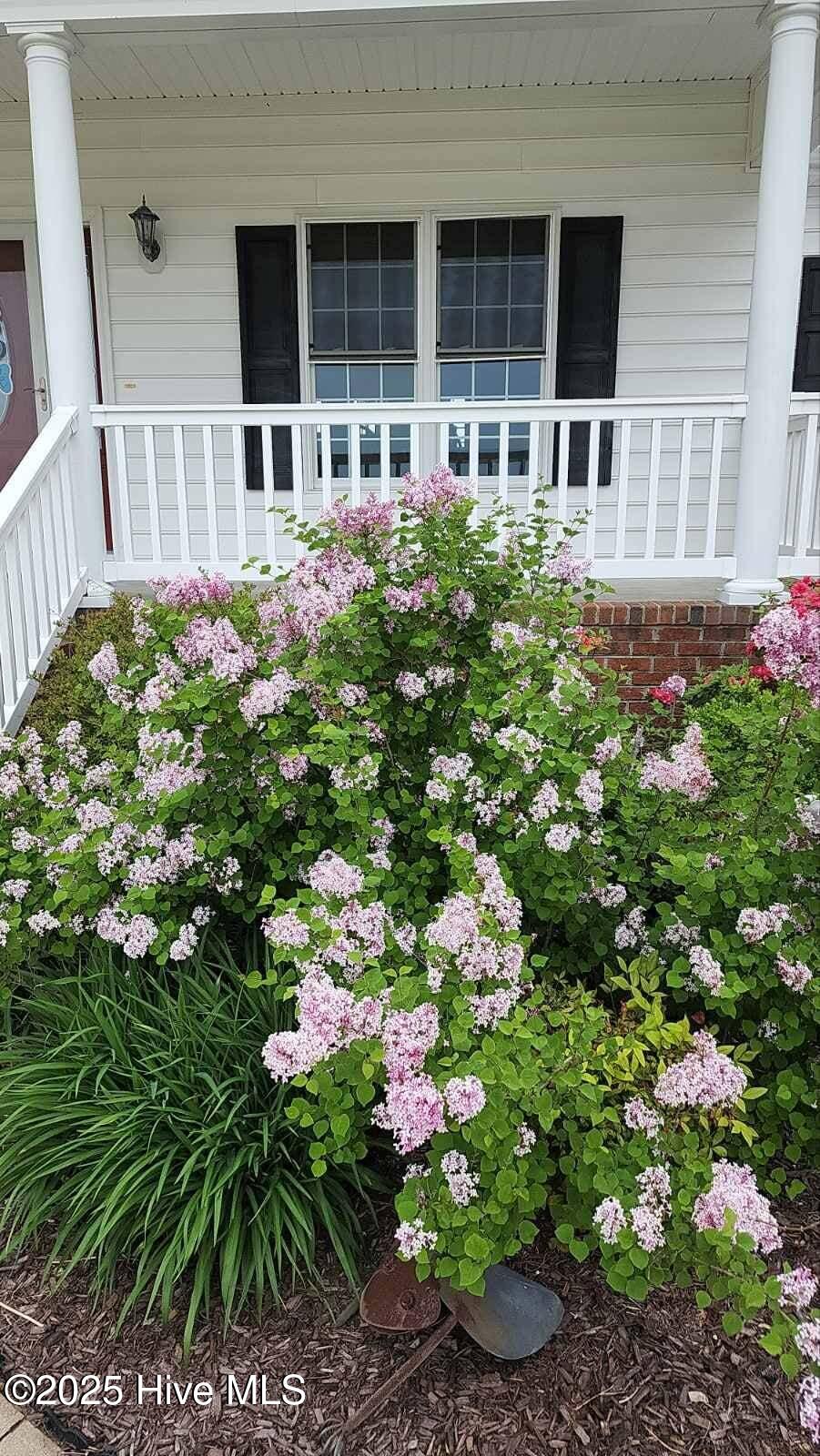 971 Bateman Dr Drive