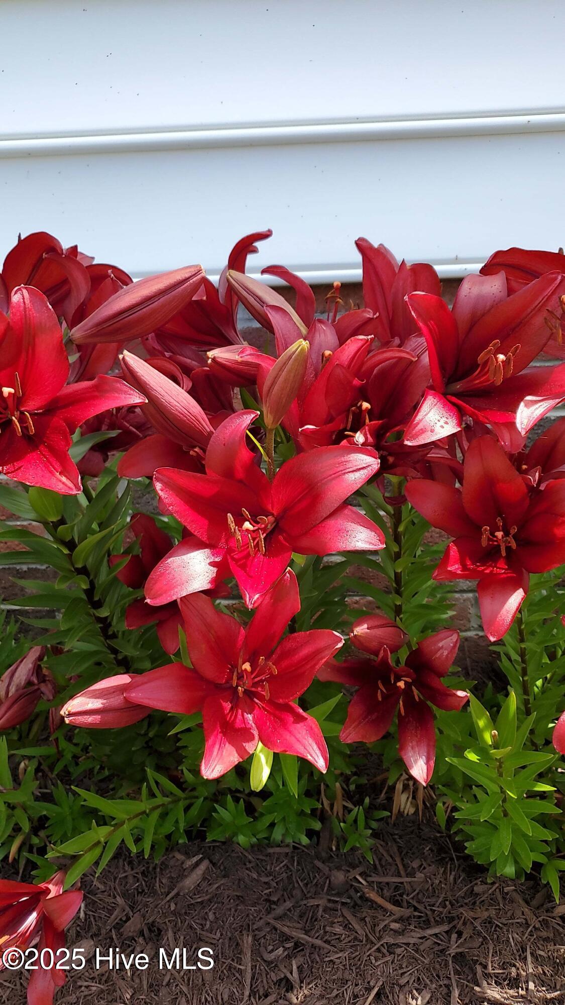 971 Bateman Dr Drive