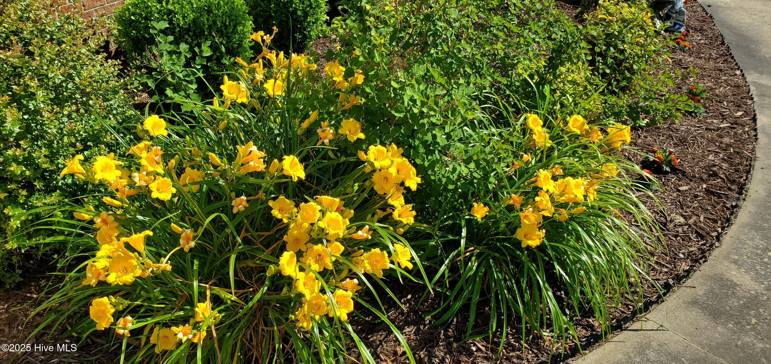 971 Bateman Dr Drive