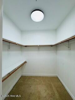 971 Bateman Dr Drive