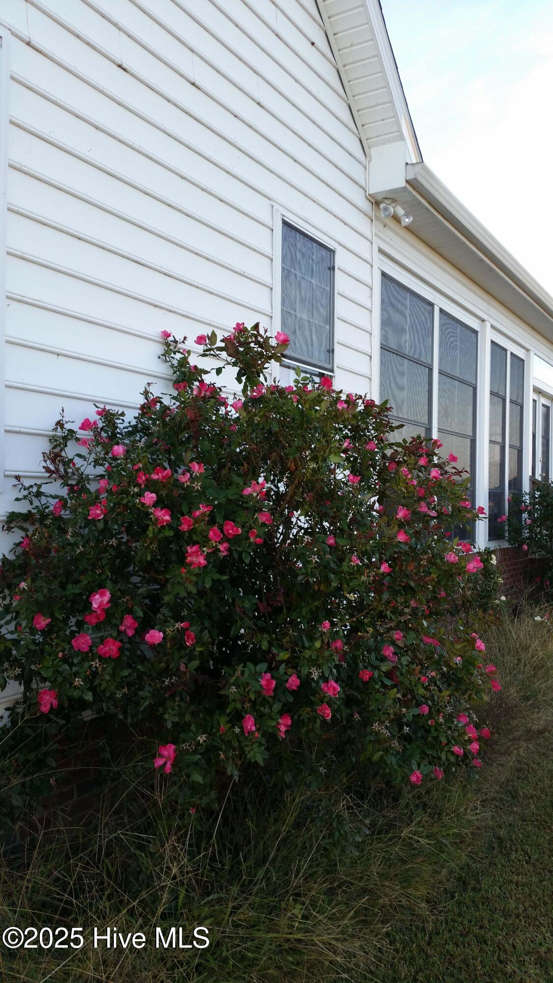 971 Bateman Dr Drive