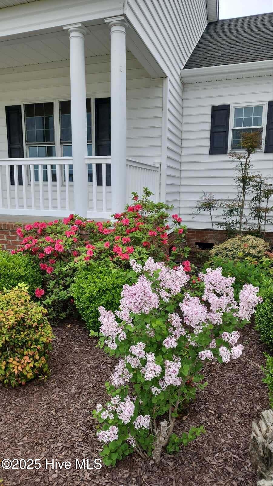 971 Bateman Dr Drive