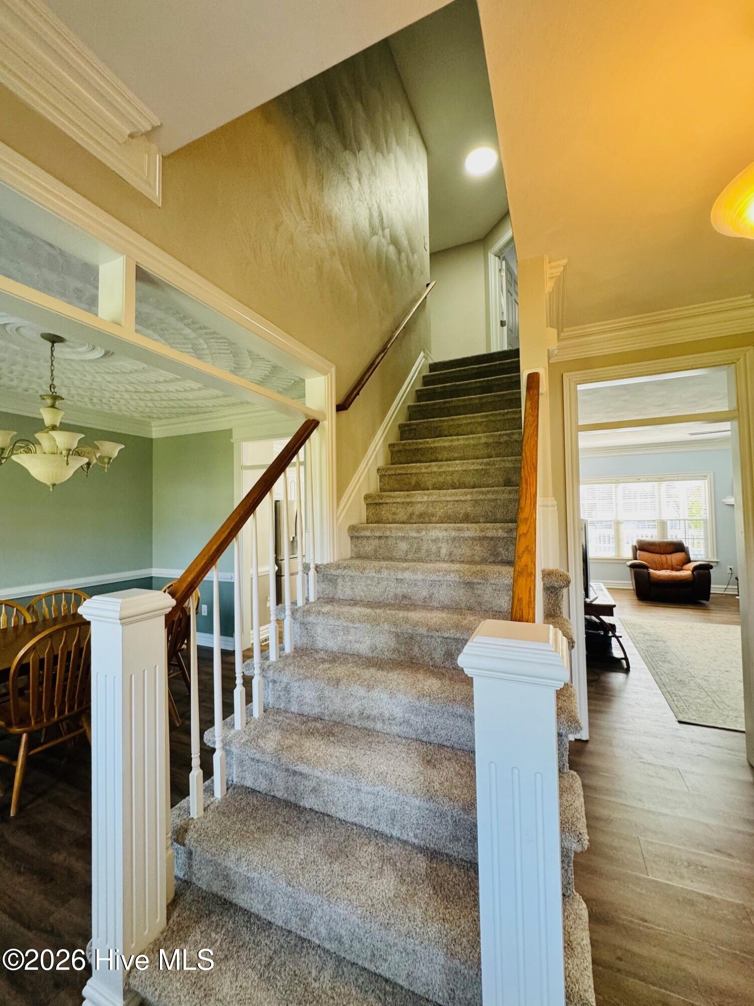 107 Tabby Street