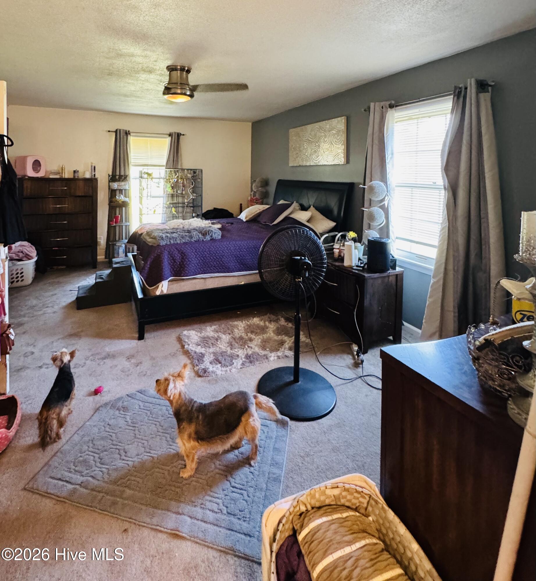 1613 Weeksville Road